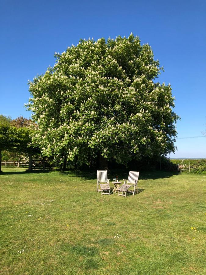 치핑노턴 The Old School, Idbury, Ox7 6Ru B&B 외부 사진